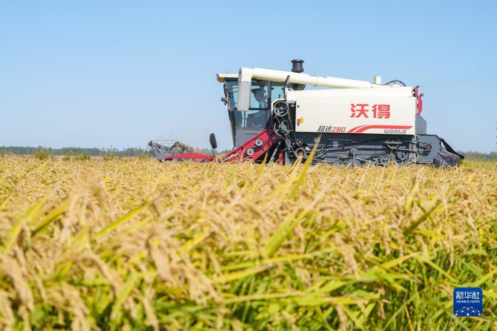 威尼斯网址503623不能玩